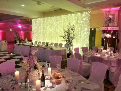 Fairy Light Backdrop